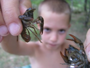 IMG_6634